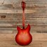 Rickenbacker 330/6 , Fireglo: Full Instrument - Rear