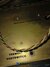 Rickenbacker TR7/amp , Black: Close up - Free2