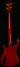 Rickenbacker 4004/4 Cii, Trans Red: Full Instrument - Rear