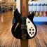 Rickenbacker 330/12 , Jetglo: Free image