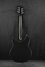 Rickenbacker 330/6 , Jetglo: Full Instrument - Rear