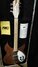 Rickenbacker 330/6 , Natural Walnut: Free image