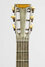 Unknown Rickenbacker A25/6 LapSteel, Gold: Headstock