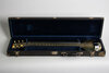 Rickenbacker A25/6 LapSteel, Gold: Free image2
