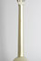 Rickenbacker A25/6 LapSteel, Gold: Neck - Rear