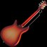 Rickenbacker 1996/6 f hole, Fireglo: Full Instrument - Rear