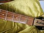 Rickenbacker 420/6 Mod, Black: Neck - Front