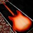 Rickenbacker 330/6 , Fireglo: Full Instrument - Rear