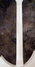 Rickenbacker 360/6 CB VP, Snowglo: Neck - Rear
