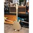 Rickenbacker 620/6 , Desert Gold: Full Instrument - Rear