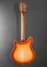 Rickenbacker 360/12 , Autumnglo: Full Instrument - Rear