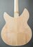 Rickenbacker 1993/12 Plus, Mapleglo: Body - Rear