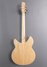Rickenbacker 1993/12 Plus, Mapleglo: Full Instrument - Rear