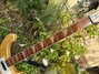 Rickenbacker 4001/4 , Mapleglo: Neck - Front