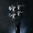 Rickenbacker 4003/4 , Jetglo: Headstock - Rear