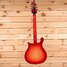 Rickenbacker 620/6 , Fireglo: Full Instrument - Rear