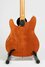 Rickenbacker 430/6 Mod, Custom: Body - Rear