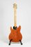 Rickenbacker 430/6 Mod, Custom: Full Instrument - Rear