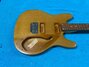 Rickenbacker 430/6 Mod, Custom: Close up - Free