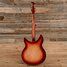Rickenbacker 365/6 O.S., Fireglo: Full Instrument - Rear
