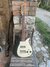 Rickenbacker 900/6 Tulip, Black: Full Instrument - Front
