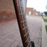 Rickenbacker 4003/4 S, Matte Black: Neck - Front