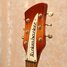 Rickenbacker 320/6 f hole, Fireglo: Free image2
