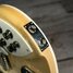Rickenbacker 360/12 , Mapleglo: Close up - Free