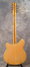 Rickenbacker 360/12 , Mapleglo: Full Instrument - Rear