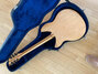 Rickenbacker 330/6 BH BT, Mapleglo: Full Instrument - Rear