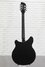 Rickenbacker 360/12 , Jetglo: Full Instrument - Rear