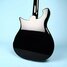 Rickenbacker 620/12 Mod, Jetglo: Body - Rear