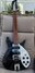 Rickenbacker 355/6 JL, Jetglo: Full Instrument - Front
