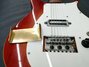 Rickenbacker 425/6 Combo, Fireglo: Close up - Free