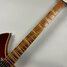 Rickenbacker 360/12 V64, Fireglo: Neck - Front