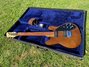 Rickenbacker 430/6 BT, Brown: Full Instrument - Front