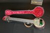 Rickenbacker A22/6 LapSteel, Aluminum: Free image2