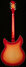 Rickenbacker 1993/12 Plus, Fireglo: Full Instrument - Rear
