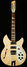 Rickenbacker 1993/12 Plus, Mapleglo: Full Instrument - Front