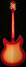 Rickenbacker 1993/12 Plus, Fireglo: Full Instrument - Rear