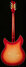 Rickenbacker 360/12 C63, Fireglo: Full Instrument - Rear