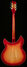 Rickenbacker 360/12 C63, Fireglo: Full Instrument - Rear
