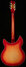 Rickenbacker 360/12 C63, Fireglo: Full Instrument - Rear