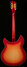 Rickenbacker 360/12 C63, Fireglo: Full Instrument - Rear