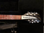Rickenbacker 340/12 , Jetglo: Headstock