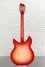 Rickenbacker 1993/12 Plus, Fireglo: Full Instrument - Rear