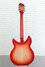 Rickenbacker 1993/12 Plus, Fireglo: Full Instrument - Rear