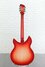 Rickenbacker 1993/12 Plus, Fireglo: Full Instrument - Rear