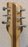 Rickenbacker 340/6 , Mapleglo: Headstock - Rear