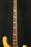 Rickenbacker 4001/4 BT, White: Neck - Front